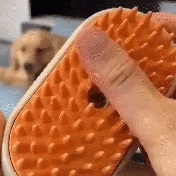Cepillo Para Mascotas A Vapor Recargable